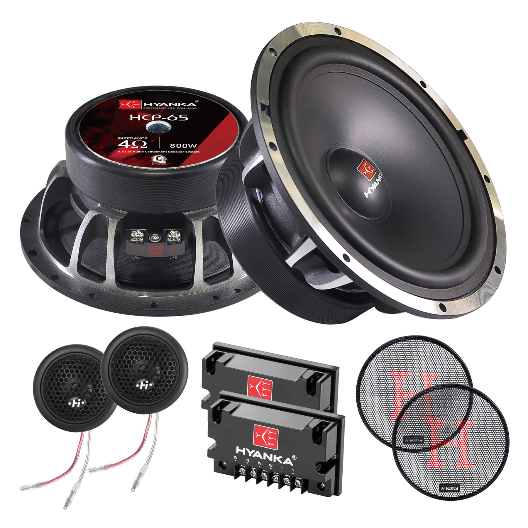 Car audio fashion door speakers